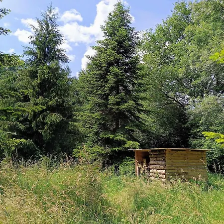 Nature Avec Bain Nordique Et Sauna, Etang Et Bambouseraie
