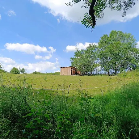 Nature Avec Bain Nordique Et Sauna, Etang Et Bambouseraie Holiday home *