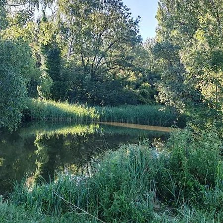 Nature Avec Bain Nordique Et Sauna, Etang Et Bambouseraie Baugé