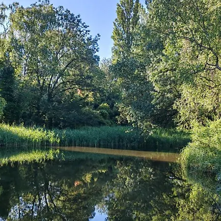 Nature Avec Bain Nordique Et Sauna, Etang Et Bambouseraie *